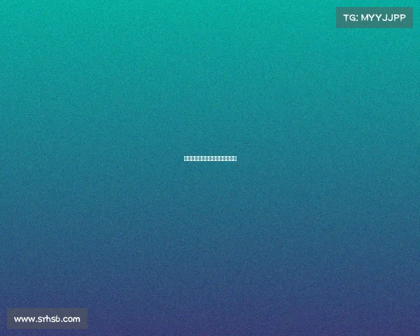 上海国际赛事、上海国际赛事数量