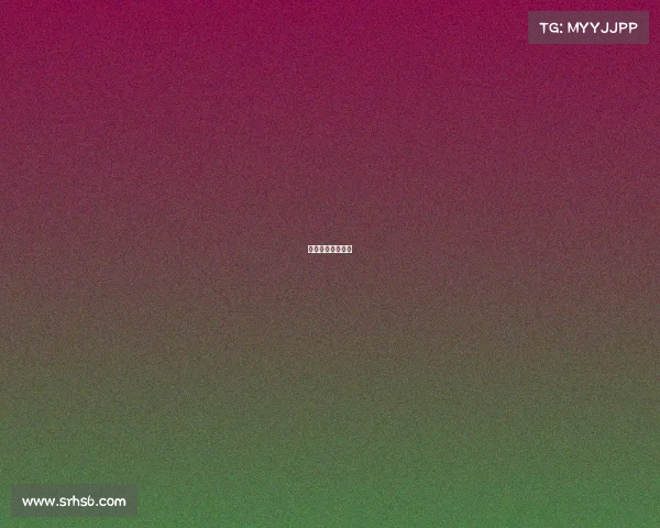 举办搏击赛事流程