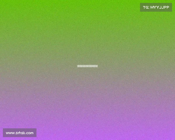 南海中美电子竞技协会会长级别